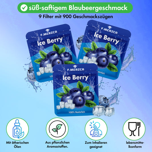Geschmacksfilter Eis Blaubeere 9er-Set