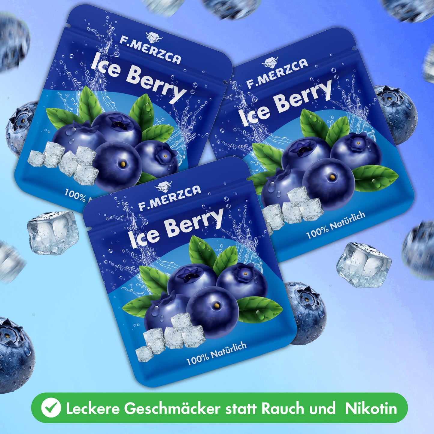Geschmacksfilter Eis Blaubeere 9er-Set