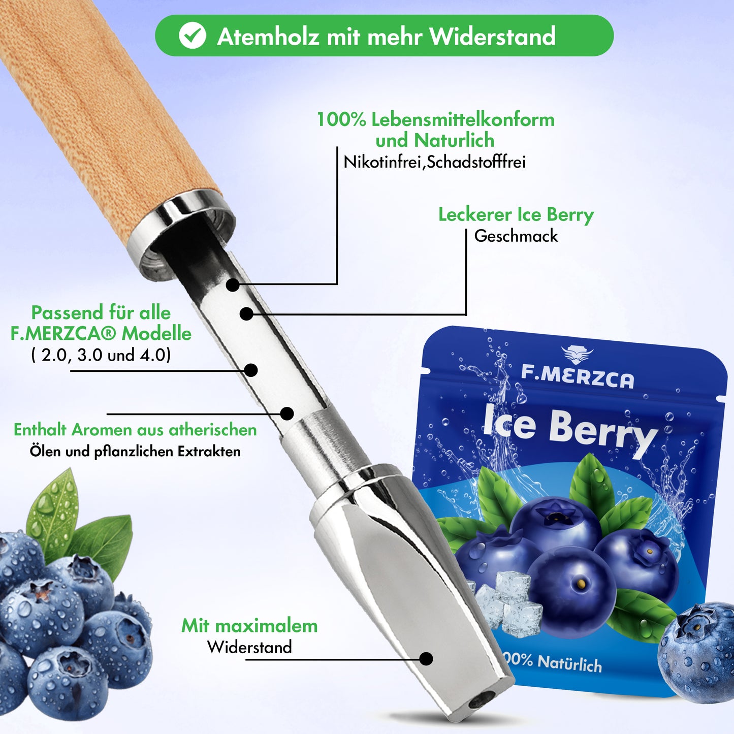 Geschmacksfilter Eis Blaubeere 9er-Set