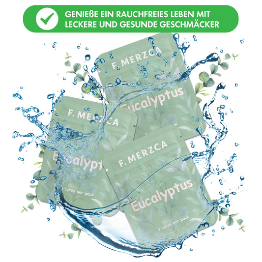 Geschmacksfilter Eukalyptus 9er-Set