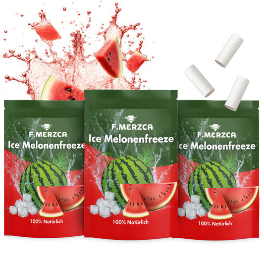 Geschmacksfilter Eis Wassermelone 9er-Set