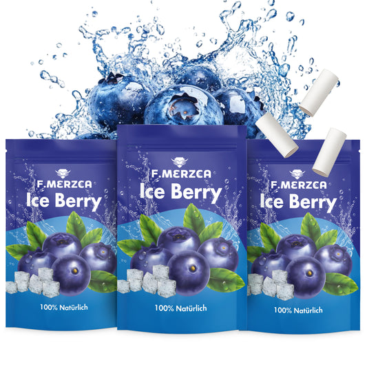 Geschmacksfilter Eis Blaubeere 9er-Set