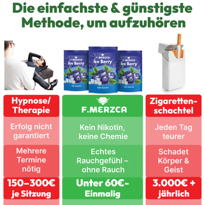 Geschmacksfilter Eis Blaubeere 9er-Set