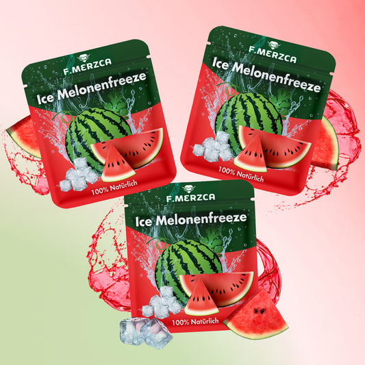 Geschmacksfilter Eis Wassermelone 9er-Set